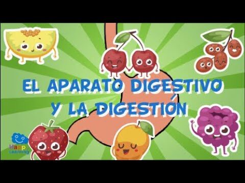 Importancia de la digesti&oacute;n adecuada en la infancia