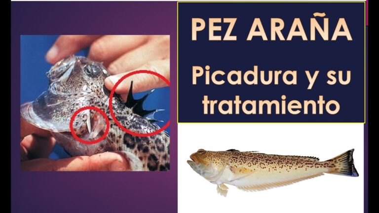 La importancia de detectar la alergia al pescado