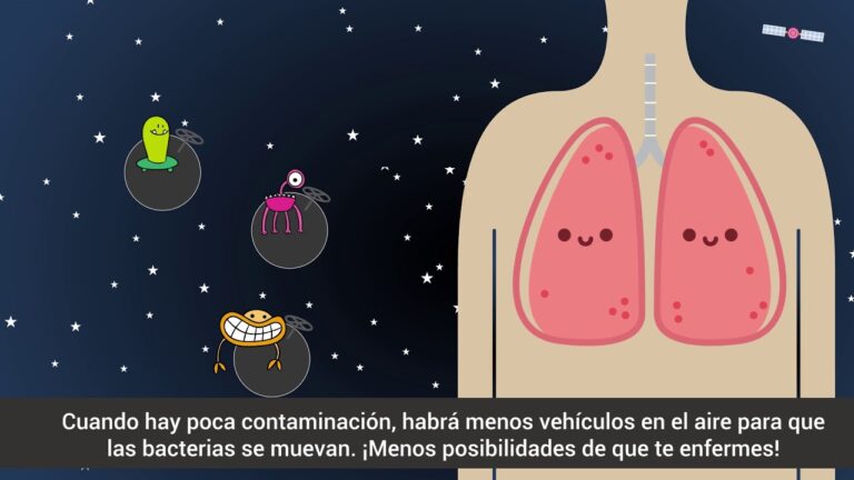 Impacto de la Contaminaci&oacute;n del Aire en la Salud Respiratoria
