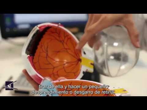 Mitos y Realidades de la Visi&oacute;n Borrosa y la Salud Ocular