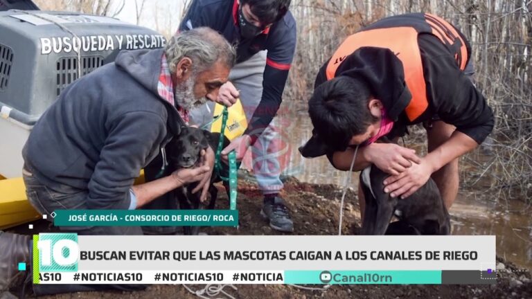 Prevención de Accidentes con Animales Salvajes