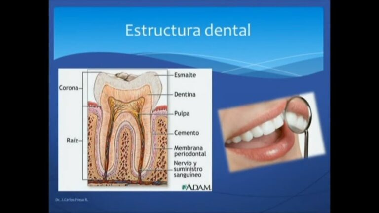 Enfermedades Comunes que Afectan la Salud Dental