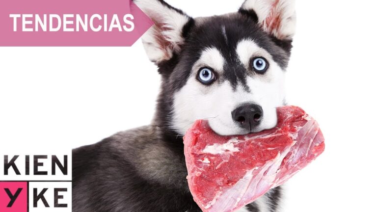 Estrategias Efectivas para el Manejo de Alergias en la Dieta Diaria