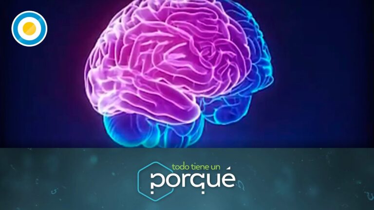 Impacto del Estr&eacute;s en la Salud del Sue&ntilde;o y su Relaci&oacute;n Inversa