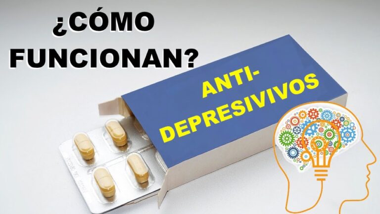 Mecanismos de Acci&oacute;n de los Antidepresivos en el Organismo