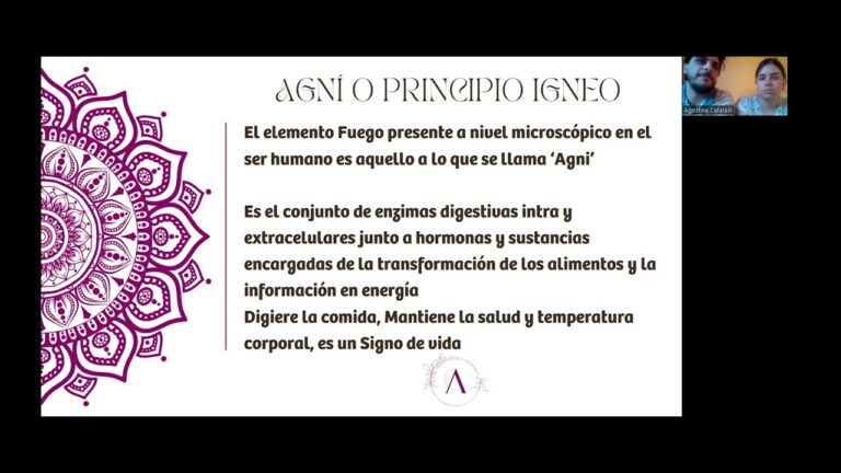Nutrici&oacute;n y Salud Digestiva en Armon&iacute;a