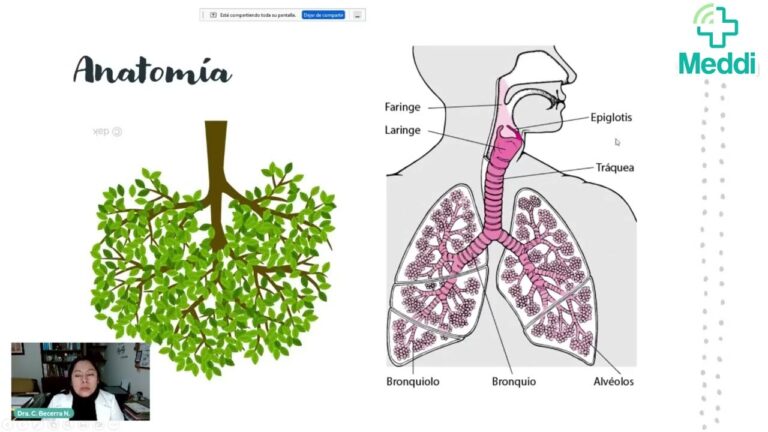 Tratamientos Efectivos para Enfermedades Respiratorias
