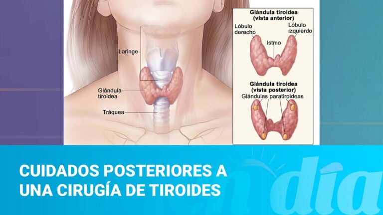 Cuidados Esenciales para Mantener tu Salud Dental Despu&eacute;s de una Intervenci&oacute;n