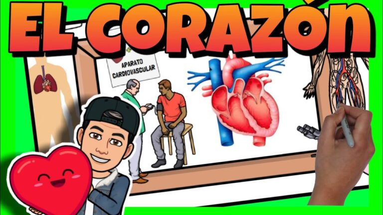 Cuidado Card&iacute;aco en la Infancia: Claves para la Salud Infantil