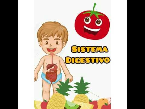 Fortaleciendo el Sistema Digestivo Infantil