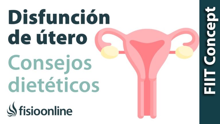 Consejos Esenciales para Mantener el &Uacute;tero Saludable