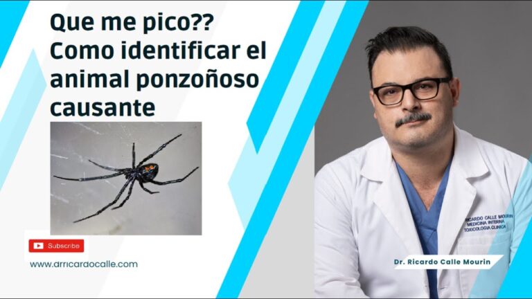 C&oacute;mo Identificar una Picadura de Medusa
