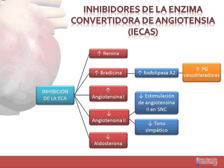 Efectividad de los Tratamientos Farmacol&oacute;gicos con Inhibidores de la ECA