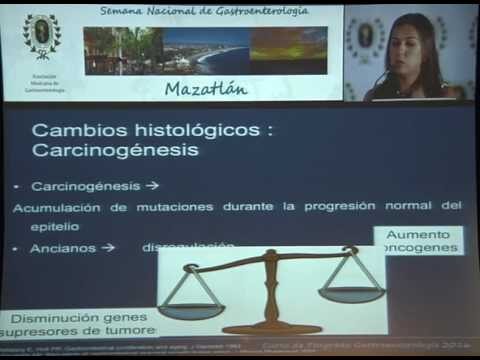 Factores Clave en la Salud Digestiva del Adulto Mayor