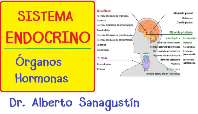 Cuidados Esenciales para la Salud Pulmonar Postoperatoria