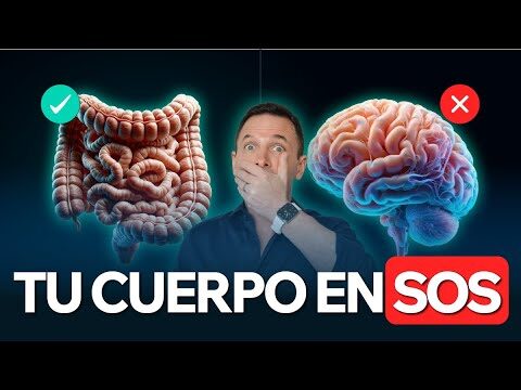 Mejora Tu Digesti&oacute;n y Previene la Disbiosis