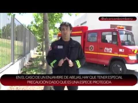 Consejos Esenciales para Personas Alergicas a las Abejas