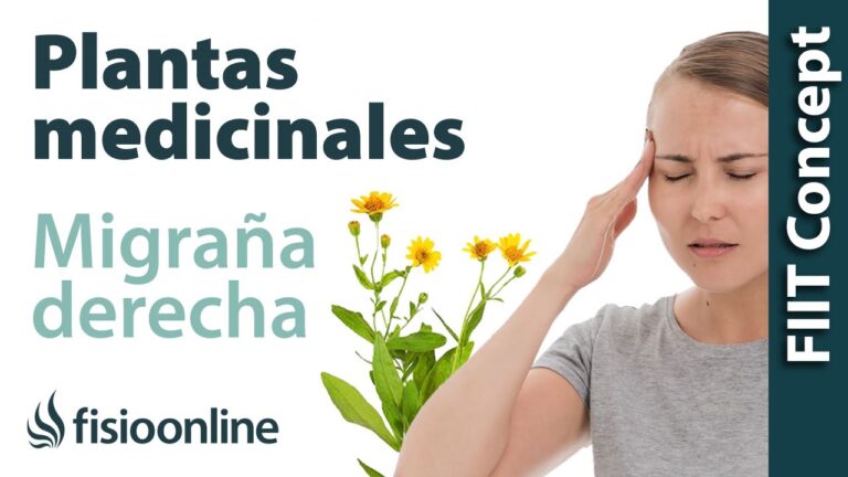 Tratamientos Naturales para Aliviar el Dolor de Cabeza por Enfermedades Comunes