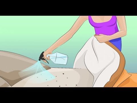 Desencadenantes Comunes de la Alergia al Polvo en el Hogar