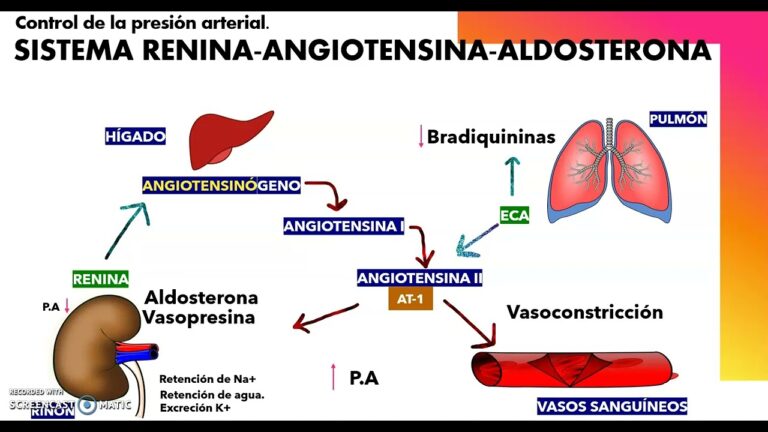 Inhibidores de la ECA: Medicamentos Esenciales para la Salud Cardiovascular