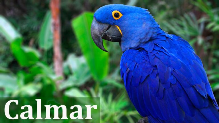 Estrategias para Mejorar el Sue&ntilde;o en Ambientes Ruidosos