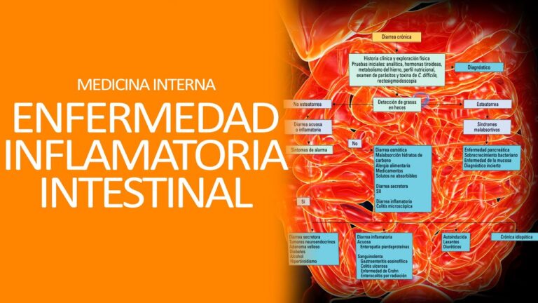 Factores Desencadenantes de Diarrea Aguda y Enfermedades Comunes