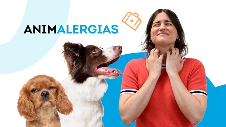 Conviviendo con Alergia a Mascotas: Estrategias y Consejos