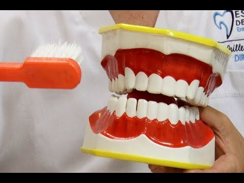 Consejos Efectivos para una Prevenci&oacute;n Dental &Oacute;ptima