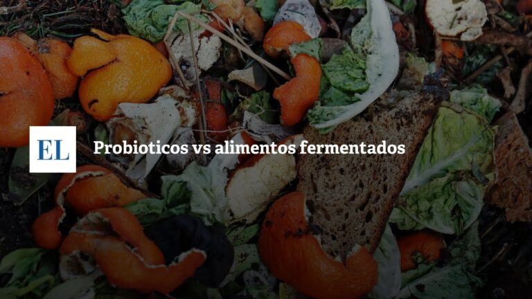 Beneficios de los Probi&oacute;ticos en la Fermentaci&oacute;n Intestinal
