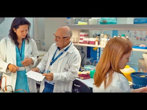 Propiedades Nutricionales de los Superalimentos Naturales