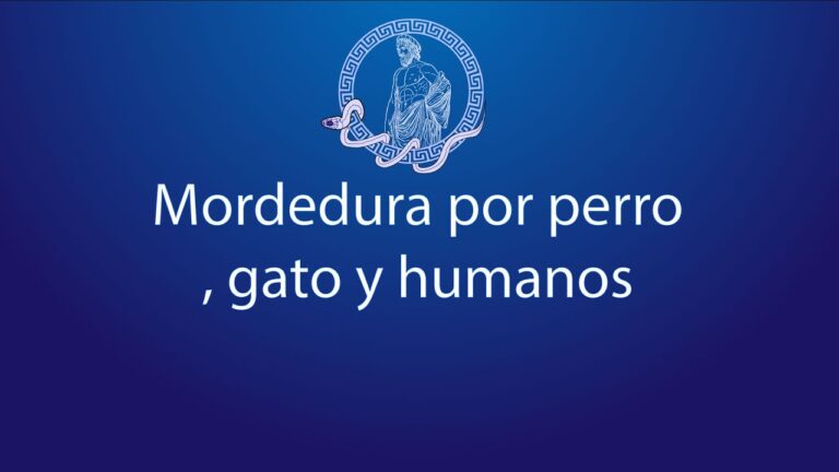 Consecuencias de las Mordeduras de Animales: Riesgos y Prevenci&oacute;n