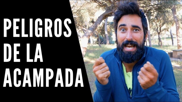 Consejos para Evitar Riesgos con Animales Salvajes