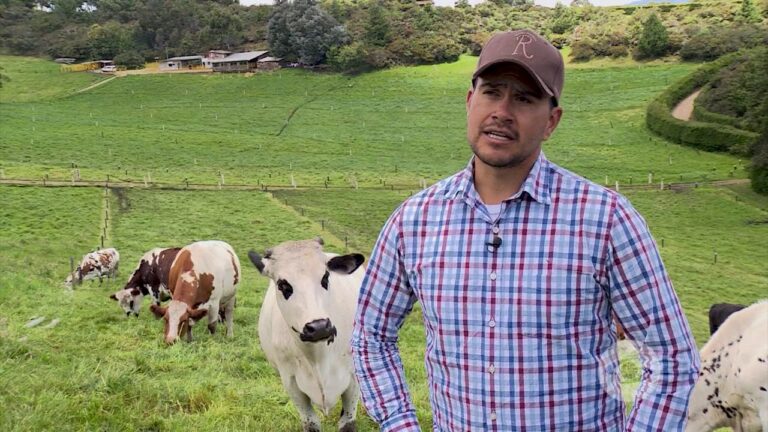 Consejos Prácticos para Mantener tus Vacunas al Día